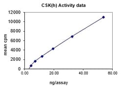 Eurofins DiscoverX CSK Protein, Active 250 &mu;g | Buy Online | Eurofins DiscoverX | Fisher Scientific